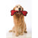 Tuff Enuff Bone Dog Toy