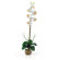 Nearly Natural Liquid Illusion Single Phalaenopsis Silk Orchid Arrangement in Cream