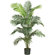 Nearly Natural 72" Paradise Palm Tree in Green