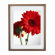 Umbra Document Frame