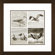 Phoenix Galleries Bird Quartet Framed Print