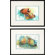 Phoenix Galleries Angel Fish Framed Prints