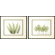 Phoenix Galleries Woodlands Framed Prints