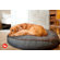 P.L.A.Y. Signature Urban Denim Round Dog Bed in Medieval Blue / Dark Chocolate