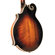 Saga Kentucky Artist F-Model Mandolin with Removable Buttons