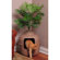 Good Pet Stuff Co. Hidden Litter Box