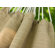 Vivere Hammocks Combo - Sunbrella Hammock with Stand