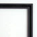 Amanti Art Polyura Pyrrhus - Ventral View by Raquel Edwards Framed Fine Art Print - 13.46" x 15.46"