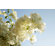 Brewster Home Fashions Komar Morning Sun 4-Panel Photomural
