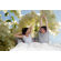 Brewster Home Fashions Komar Morning Sun 4-Panel Photomural