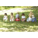 BabyBjorn Potty Chair in Green