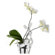 Alessi "Stanza Scirocco" Vase Cover in White