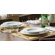 Alessi Platebowlcup Dinnerware Collection