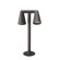 FLOS Belvedere Double F2 Spot Light