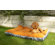 Bowsers Futon Dog Bed