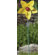 Ancient Graffiti Painted Flower Spinner