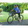 Pet Gear Bike Basket 3-in-1 Pet Carrier in Sage