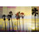 Parvez Taj Boardwalk Wall Art