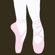Secretly Designed Ballet Shoes Wall Decal
