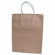 Cosco Home and Office Premium Large Brown Paper Shopping Bag, 50 per Pack