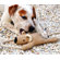 ABO Gear Koala Bear with Rope Dog Toy