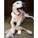 ABO Gear Jute Pheasant Dog Toy