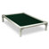 Kuranda USA Standard Elevated Chew-Proof Dog Bed in Almond