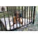 Great OutDogs Edinburgh Dog Kennel Frame Only