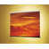Claridge Products Matte White: Nova Wall Mounted Screen