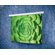 Claridge Products Perla Electric Screen
