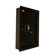 Viking Security Biometric Hidden Wall Safe
