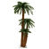 Vickerman Co. Triple Palm Tree with Clear Lights