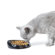 Savic Whisker Double Cat Bowl
