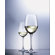 Schott Zwiesel Tritan Classico Drinkware Collection