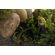 Twig Terrariums Tropisma Male DIY Kit