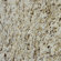 MS International 18" x 18" Polished Granite Tile in Giallo Ornamental