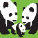 Avalisa Animal - Three Pandas Stretched Wall Art