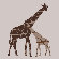 Avalisa Animal - Reticulated Giraffe Stretched Wall Art
