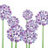 Avalisa Imagination - Allium Stretched Wall Art