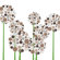 Avalisa Imagination - Allium Stretched Wall Art