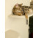 The Refined Feline Clouds Wall Mounted Faux Fur and Metal Cat Perch