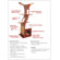 The Refined Feline 69" The Lotus Cat Tree in Espresso