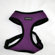 Puppia Soft Mesh Dog Harness