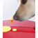 Trixie Pet Products Roulette Wheel Dog Activity Game