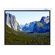Buhl Innsbruck 96" x96" Electric Projector Screen - 1:1 Format