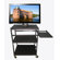 Buhl Flat Panel Cart