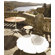 Richard Schultz Petal Dining Table with Top