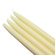 Zest Candle Taper Candles (1 Dozen)