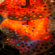 Lava Heat Italia Ember Patio Heater