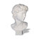 Amedeo Design ResinStone David Bust Statue